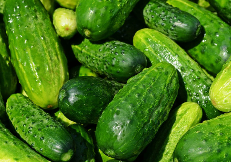 cucumbers-849269960720