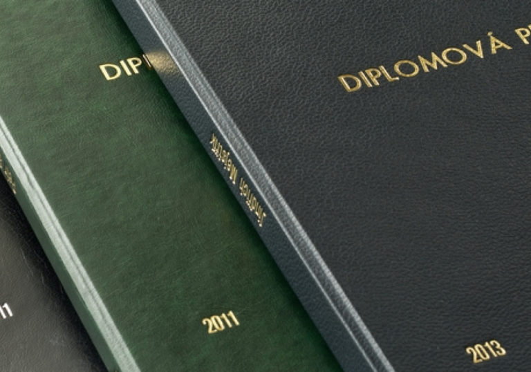 diplomovaprace