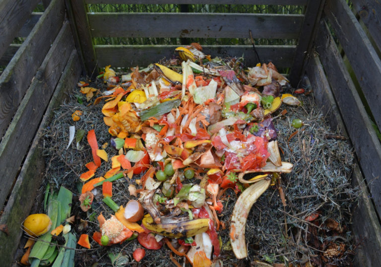 green-waste-5136091920