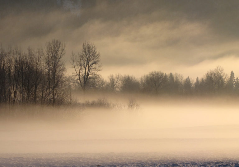 fog-1873715-1920