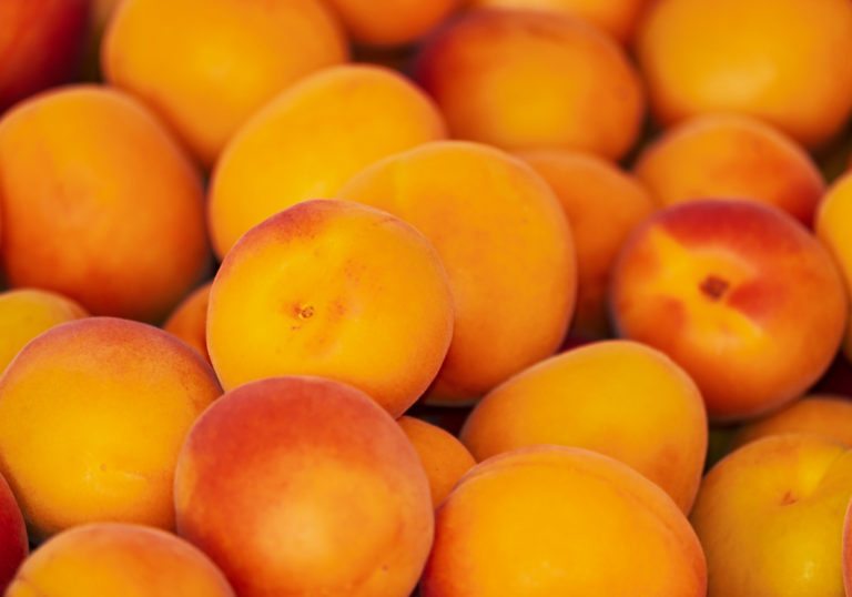 apricots-3433818-1920