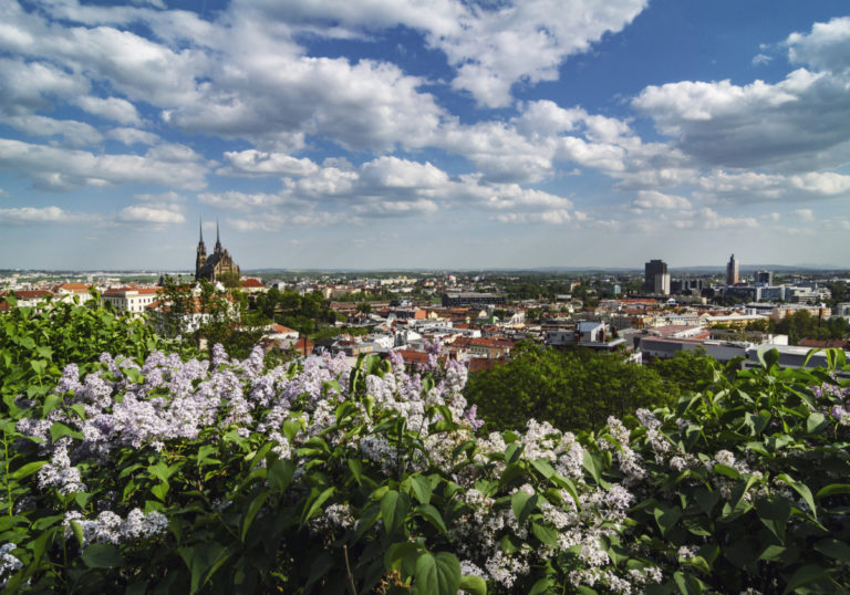 brno-mg-8198-sm