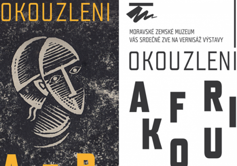 okouzleni-afrikou-poster