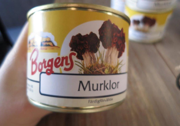 murkolor-1