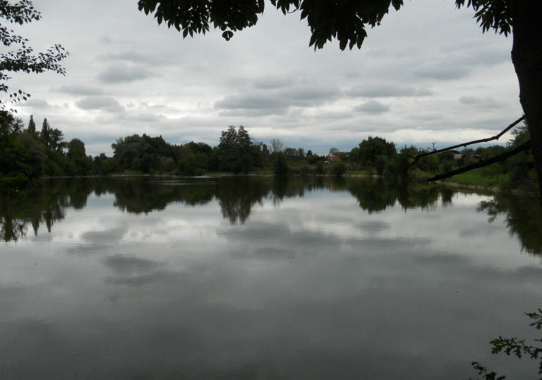 holasky2