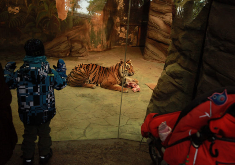 zoo-vanoce