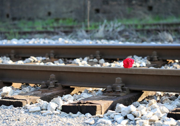 red-rose-rail-track
