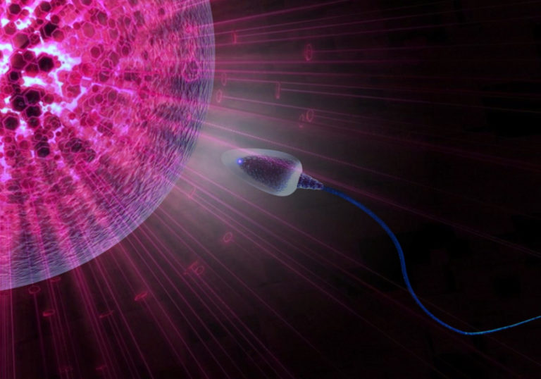 ovum-5818117-1920