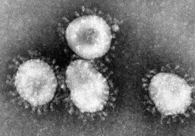 coronaviruses-004-lores