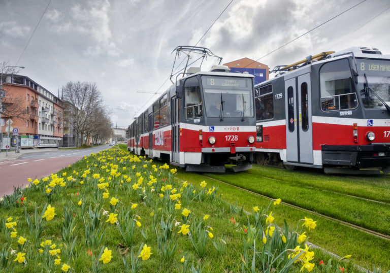 zelene-plice-foto-dpmb