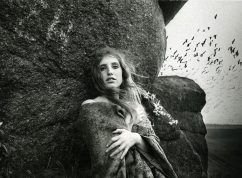 1971(2)