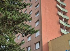 Ozbrojený muž se zabarikádoval v paneláku v Brně, policisté ho zpacifikovali