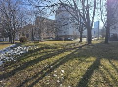 Původní vzhled parkové plochy (únor 2025)