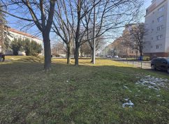 Původní vzhled parkové plochy (únor 2025)