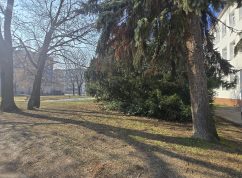 Původní vzhled parkové plochy (únor 2025)