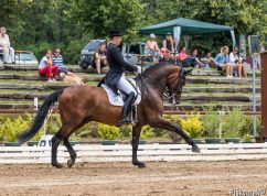 Prestižní mezinárodní závody v drezuře – CDI-W Brno