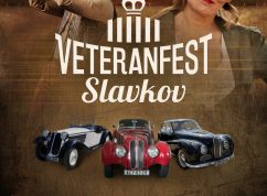 3864_1650524832_veteranfest-2022-plakat-v4