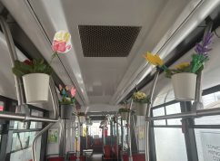 Jarní tramvaj