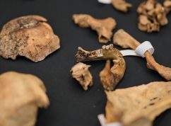 Po 60 letech se vrátí do krypty ostatky Jindřicha z Lipé, zkoumali je vědci