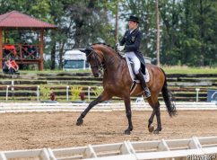 Prestižní mezinárodní závody v drezuře – CDI-W Brno