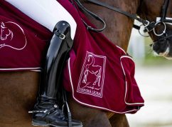 Prestižní mezinárodní závody v drezuře – CDI-W Brno