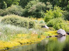 Arboretum 1 MENDELU