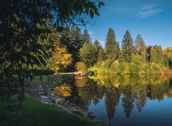 Arboretum Křtiny3 MENDELU