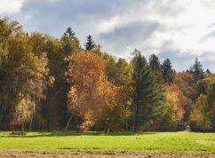 Arboretum Křtiny5 MENDELU