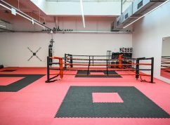 Procházka se chystá na zápas UFC s Američanem Rountreem