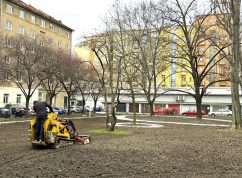 Bayerova Drevarska2 MČ Brno-střed