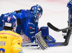 Budejovice-Kometa4 Vít Golda