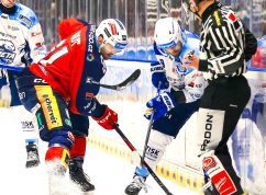 Dynamo Kometa7 HC Kometa Brno