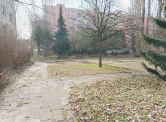 Na severu Brna vzniká první městská komunitní zahrada