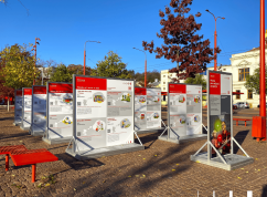 Výstava - Mendlovo náměstí