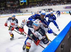 Kometa Dynamo2 Vít Golda