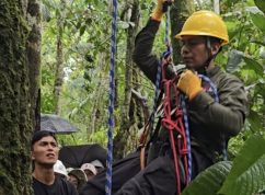 Kurz stromolezectví na Universidad Nacional Agraria de la Selva Tingo Maria, který sloužil k zaškolení pracovníků pro sběr semen ohrožených druhů.