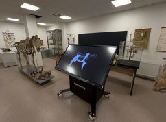 Laboratoře3 MENDELU