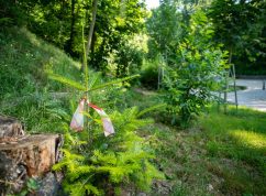 Lesopark Čertova rokle3 adapterrawards.cz