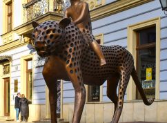 Mauglí 2 ÚMČ Brno-střed
