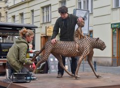 Mauglí 4 ÚMČ Brno-střed