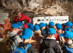 Medvěd Bruno Výpustek Jaroslav Šanda