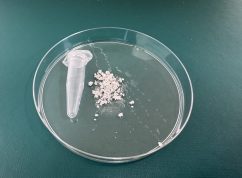 Mikroplasty3 Mendelu