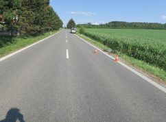 Policie hledá svědky nebo kamerové záznamy kvůli smrtelné nehodě cyklisty