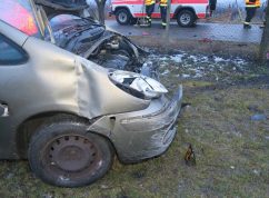 Opilec vinice2 Policie ČR