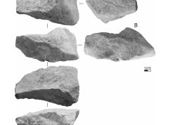 Rytý vápencový blok z jeskyně Švédův stůl v Moravském krasu. Na dvou sousedících plochách jsou zachovány pravěké rytiny koní – na ploše A je zřetelně vyobrazena hlava a krk koně, zatímco plocha B nese jednu či více koňských hlav, překrytých soustavou šikmých rytých linií.