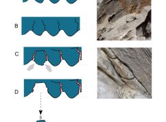 Vědci odhalili v jeskyni v Moravském krasu rytinu starou zhruba 15.000 let