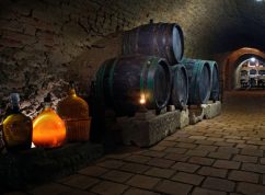 Vinný sklep Vinařství Halkoci