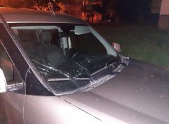 Značka v autě3 Policie ČR