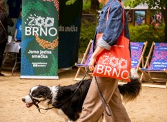 Zoo Brno nový vizuál1 Zoo Brno