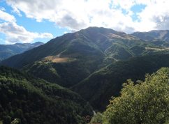 aragvi_08